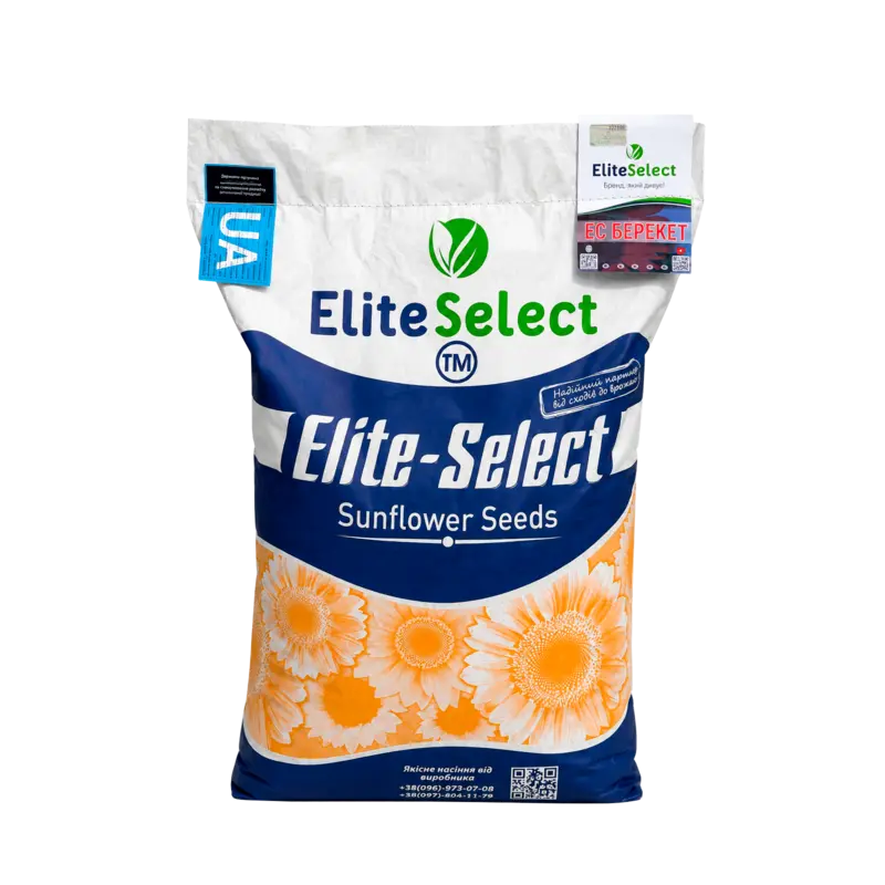 Насіння соняшнику ЕС Берекет EliteSelect
